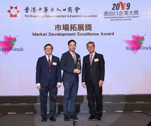 20.維珍妮國際（控股）有限公司